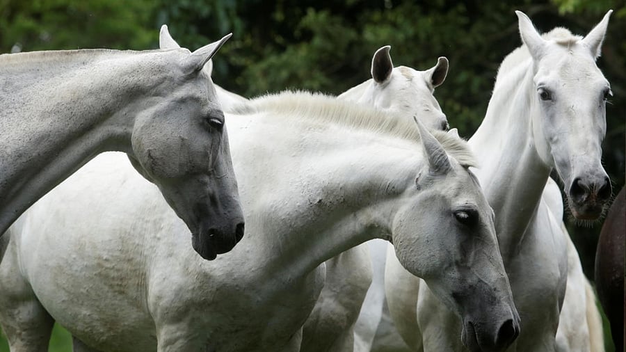 Representative image. Credit: Reuters/file photo.
