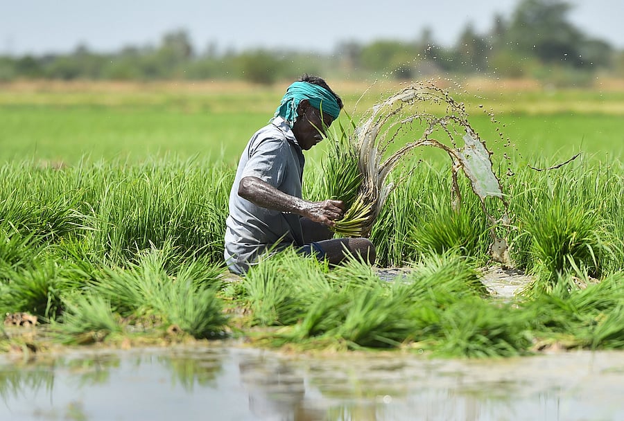Representative image/Credit: PTI File Photo