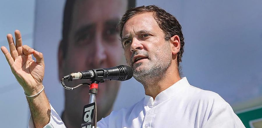 Congress leader Rahul Gandhi. Credit: PTI Photo