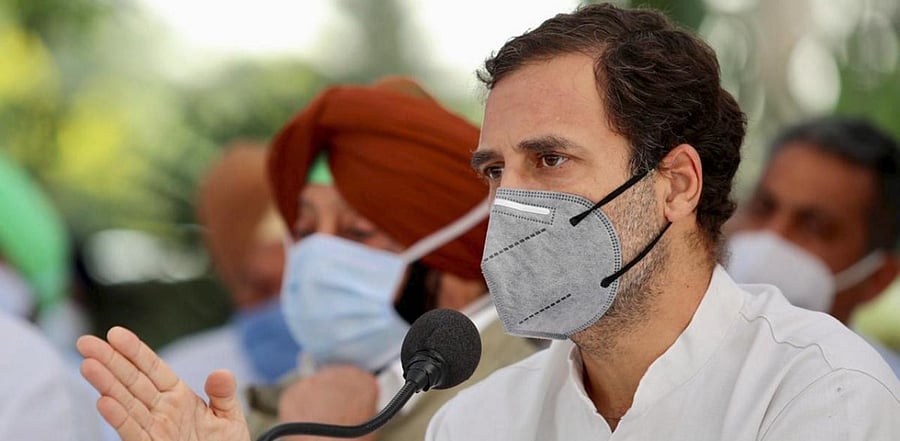 Congress leader Rahul Gandhi. Credit: PTI