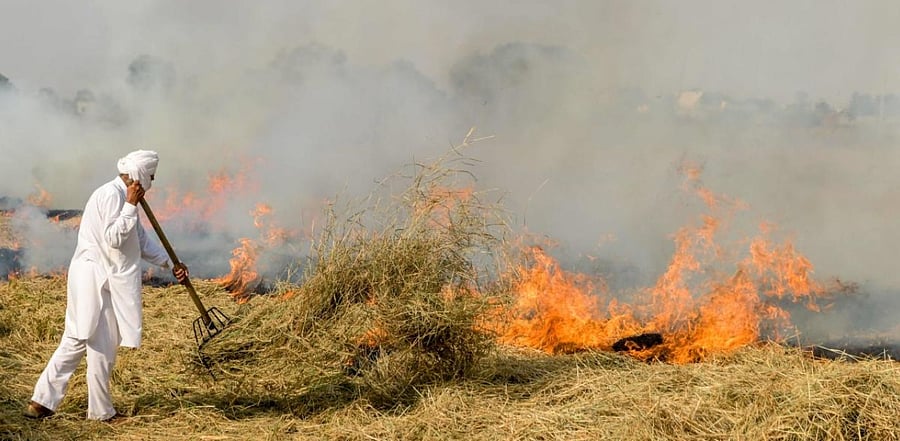 The solution increases soil fertility and reduces the use of fertilisers, Kejriwal said. Credit: AFP Photo