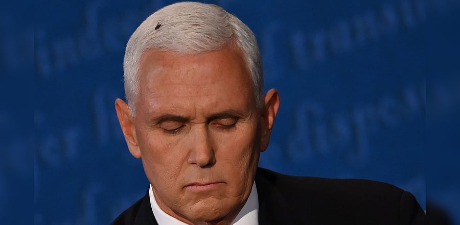 A fly rests on the head of US Vice President Mike Pence as he takes notes during the vice presidential debate against US Democratic vice presidential nominee and Senator from California Kamala Harris. Credit: AFP Photo