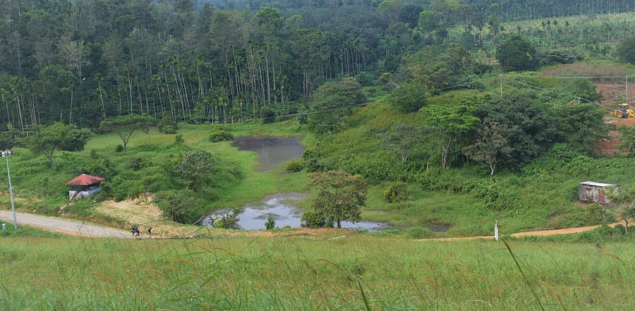 Wayanad project. Credits: DH Photo