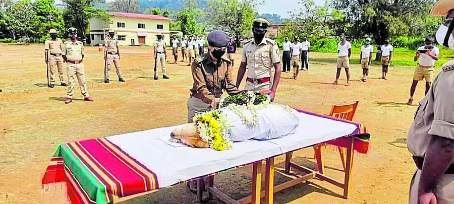 SP Kshama Mishra pays homage to Rambo, the police dog in Madikeri on Thursday. DH Photo
