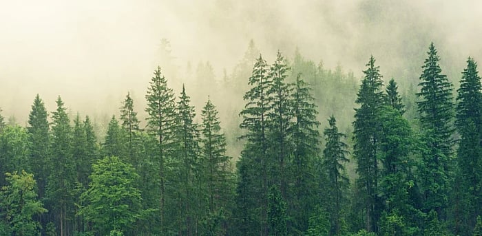 Representative image. Credit: Pixabay Photo