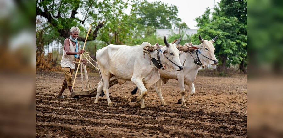 Representative image. Credit: PTI File Photo