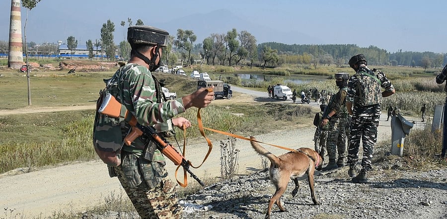 Representative Image. Credit: PTI Photo