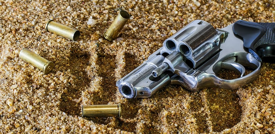 Representative Image. Credit: Pixabay