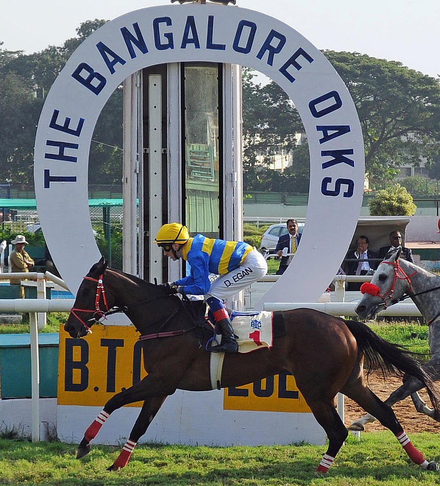 Preparations for the season got underway from the beginning of the month but Covid-19 continues to be the biggest challenge for BTC. DH FILE PHOTO