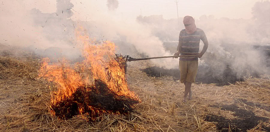 Representative image. Credit: PTI Photo