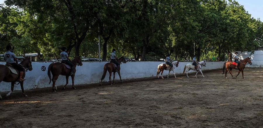 The horseriders waded through chest-deep water, navigating obstructions such as electric poles, trees, to deliver essentials. Representative Photo. Credit: AFP