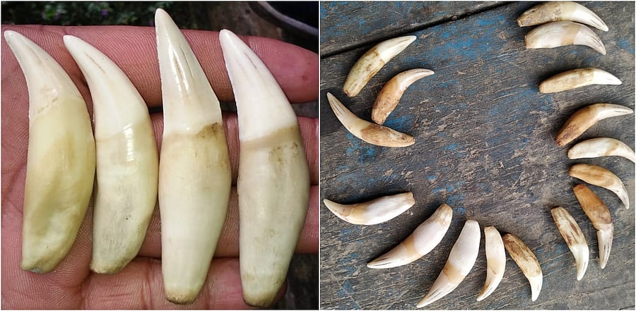 Credit: Assam Police