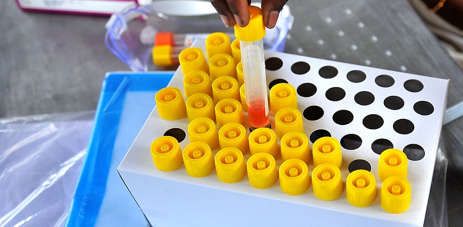 Representative image. Credit: DH Photo