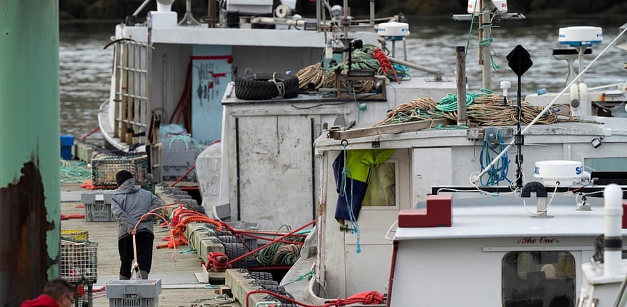 Representative Image. Credit: Reuters Photo