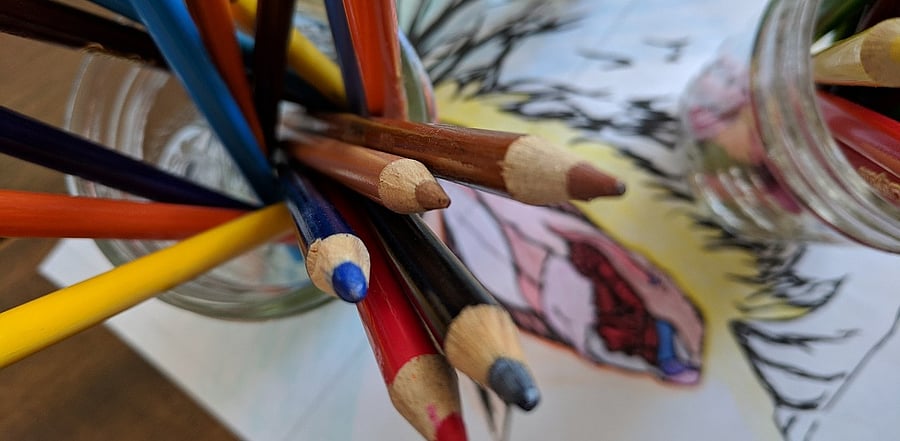 Representative Image. Credit: Pixabay Photo