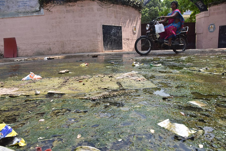 Doctors warn of a spurt in waterborne diseases due to stagnant rainwater (like seen in pic). Credit: DH File Photo/Janardhan B K