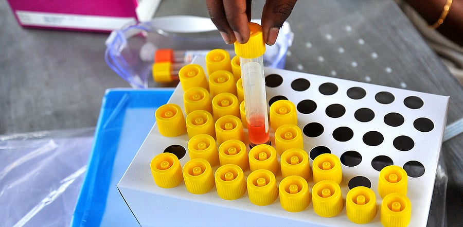 Representative image. Credit: DH Photo