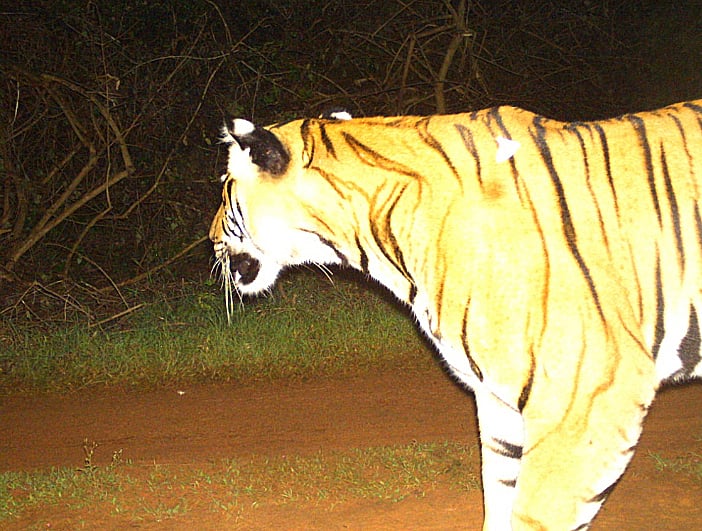 Representative image. Credits: DH Photo