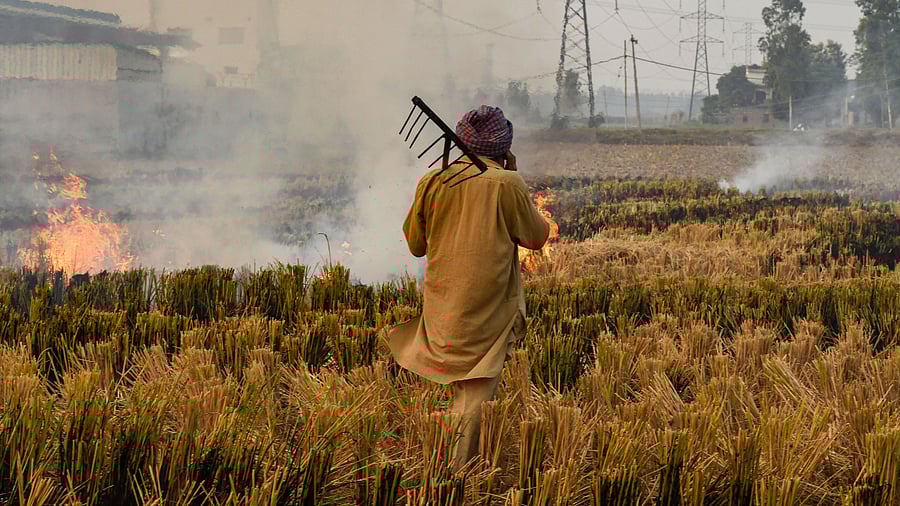 A farmer burns paddy stubbles in a field along the National Highway 205, in Rupnagar district. Credits: PTI Photo