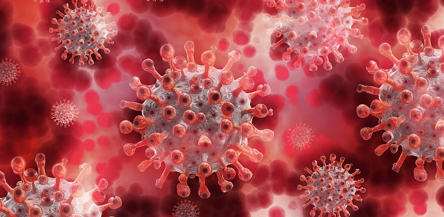 Representative image. Credit: Pixabay