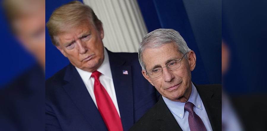 Fauci is one of the most popular health experts in the United States, a fact that Trump has cited in the past to avoid getting into tangles with him. Credit: AFP Photo