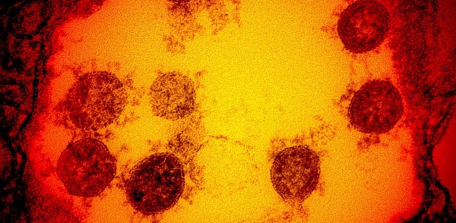 Representative Image. Credit: AFP Photo