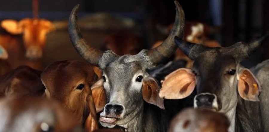 Representative Image. Credit: Reuters File Photo