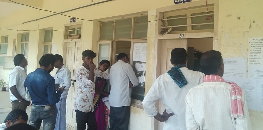 Representative image. Credits: DH hPhoto