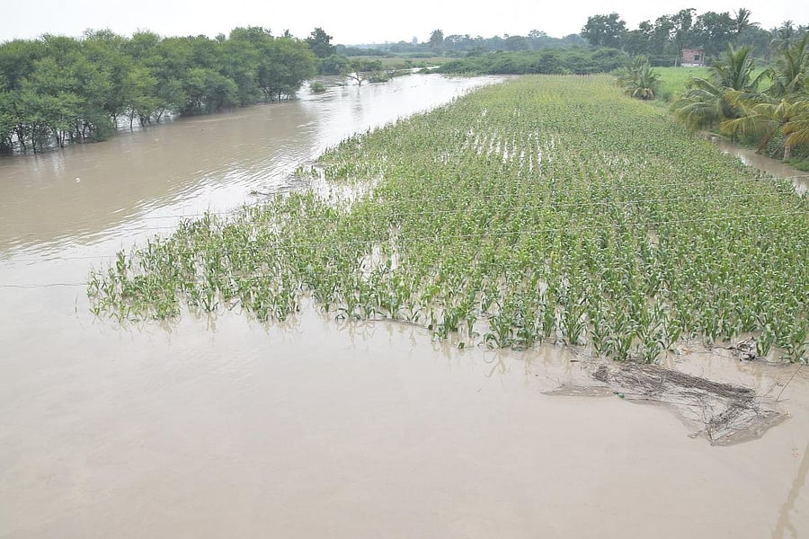 A view of the flood in Karnataka. Credit: DH
