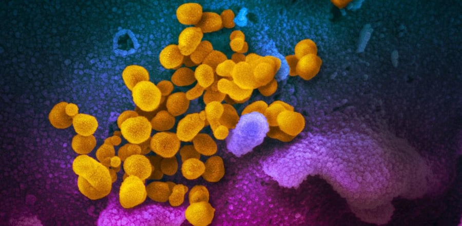  Representative Image. Credit: AFP Photo