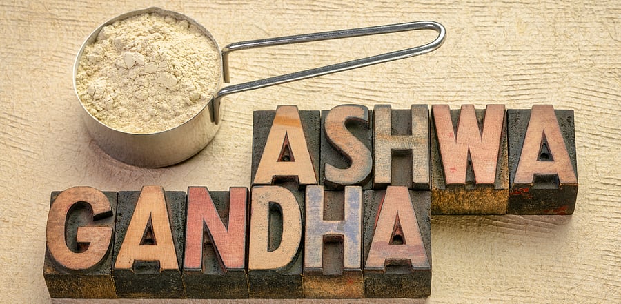 Representative image/Credit: iStock images