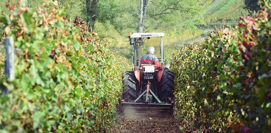 Representative image/Credit: AFP Photo
