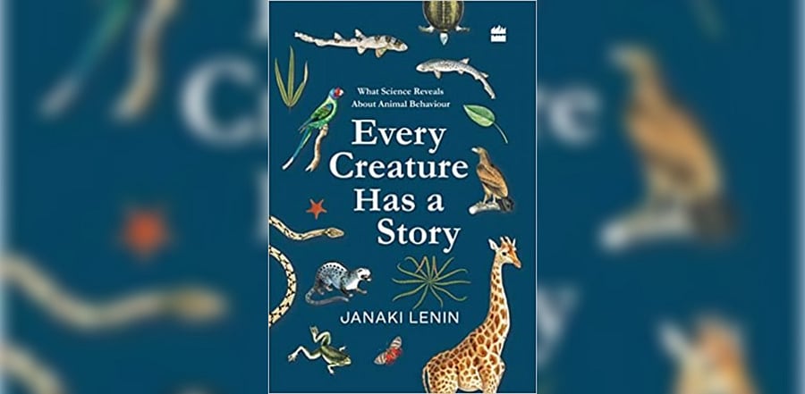 Book cover of Every Creature Has a Story. Credit: Harper Collins Publishers India