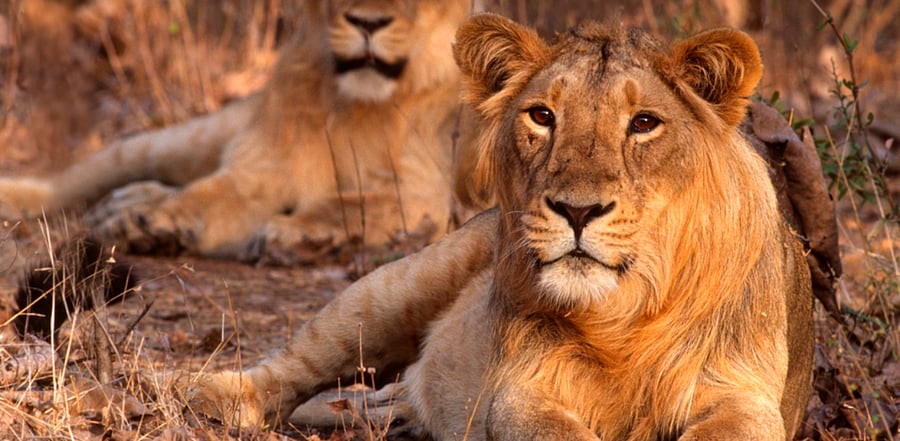 Representative image: iStock Photo