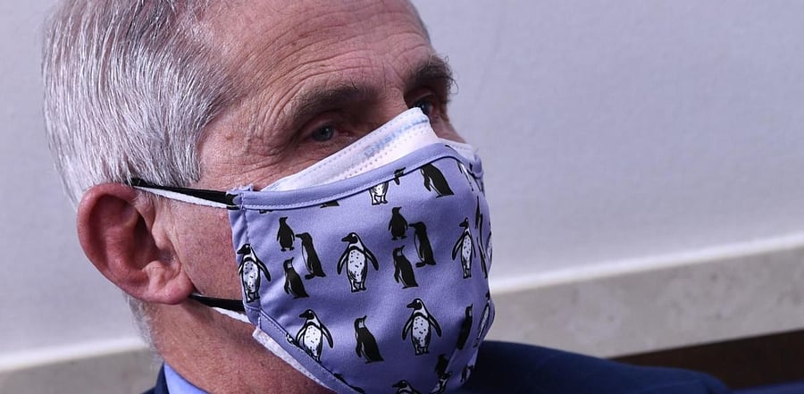 US infectious disease expert Anthony Fauci. Credit: AFP Photo