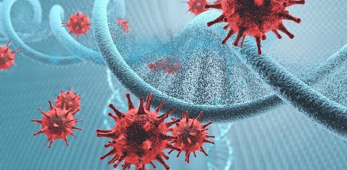 Representative image. Credit: iStockPhoto