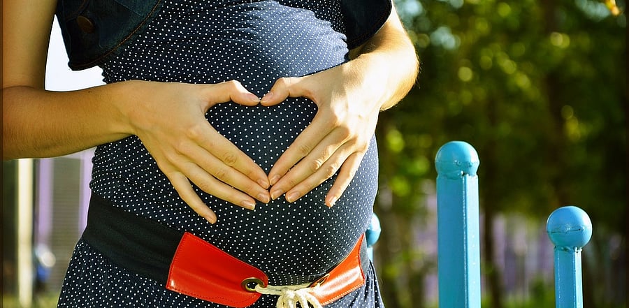 Representative Image. Credit: Pixabay Photo