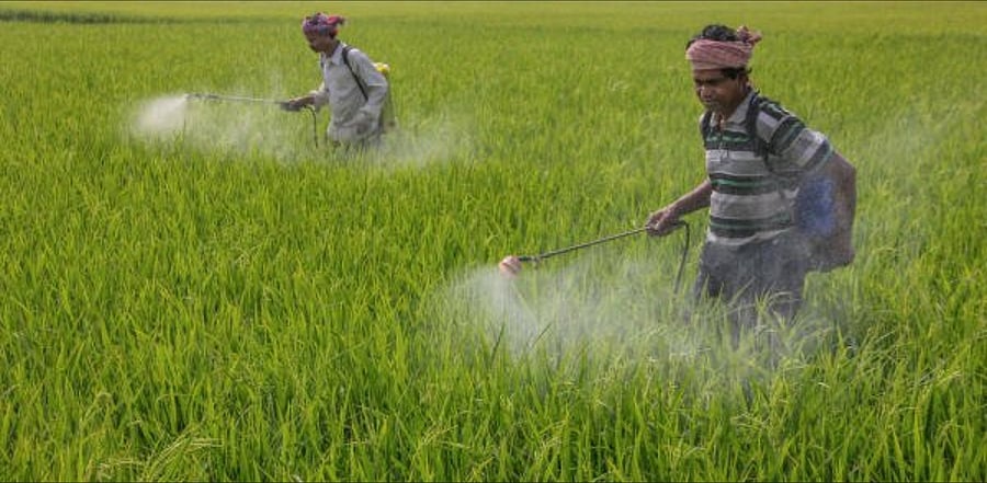 Representative image. Credit: PTI File Photo