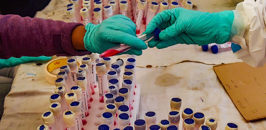 Health workers sort samples obtained from passengers for the COVID-19 test, at Anand Vihar Bus Terminal, in New Delhi. Credit: PTI