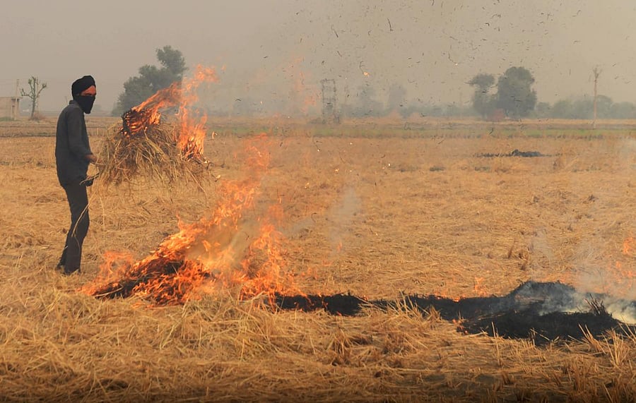 A farmer burns straw stubble after harvesting paddy crop in a field on the outskirts of Amritsar. Credit: AFP Photo.