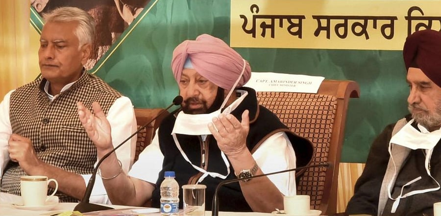 Amarinder Singh. Credit: PTI.