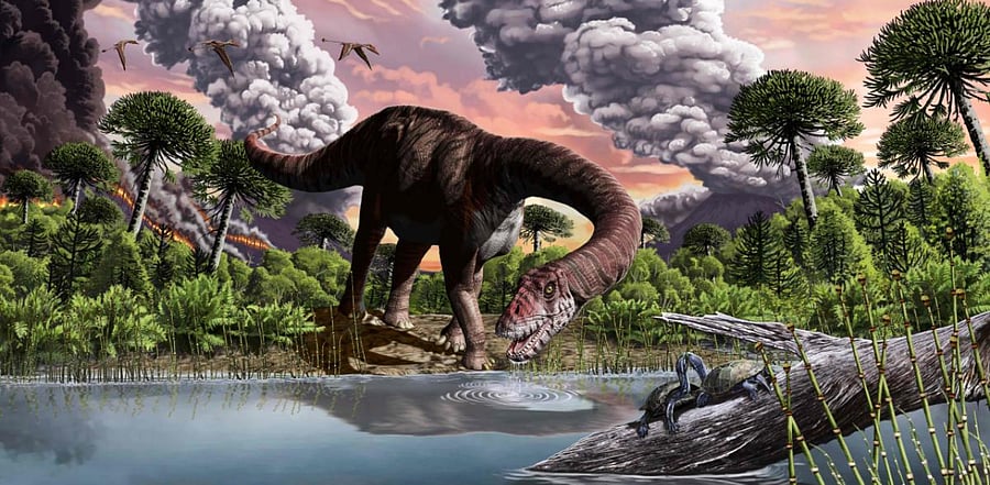 Representative Image. Credit: AFP Photo