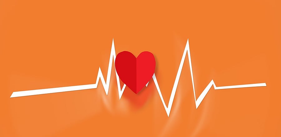  Representative Image. Credit: Pixabay Photo