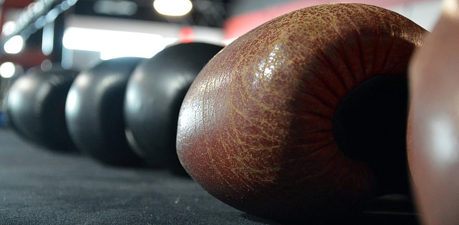 Representative Image. Credit: Pixabay