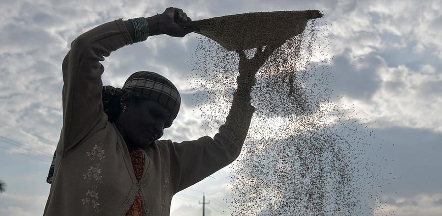 Representative Image. Credit: AFP Photo