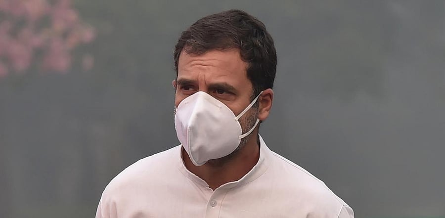 Rahul Gandhi. Credit: PTI.