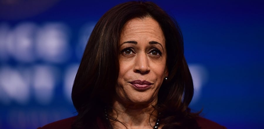Vice President-elect Kamala Harris. Credit: AFP Photo