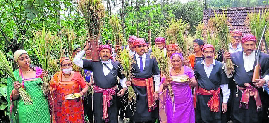Paddy sheaves being brought home by the participants of Huthari Namme festival at Chikkabettageri near Kushalnagar.