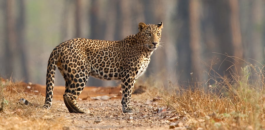 Representative image: iStock Photo