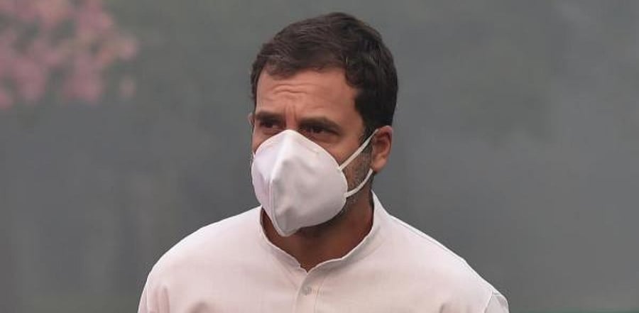 Indian National Congress party President Rahul Gandhi. Credit:PTI